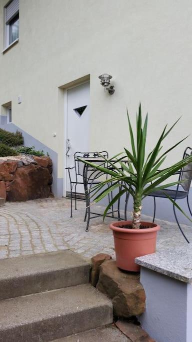 Ferienwohnung Talblick Im Schwarzwald ซีลบาค ภายนอก รูปภาพ