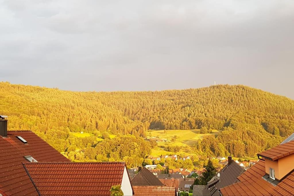 Ferienwohnung Talblick Im Schwarzwald ซีลบาค ภายนอก รูปภาพ