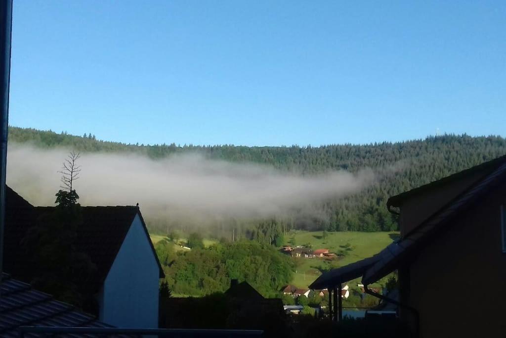 Ferienwohnung Talblick Im Schwarzwald ซีลบาค ภายนอก รูปภาพ