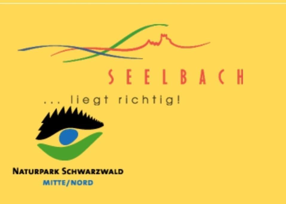 Ferienwohnung Talblick Im Schwarzwald ซีลบาค ภายนอก รูปภาพ