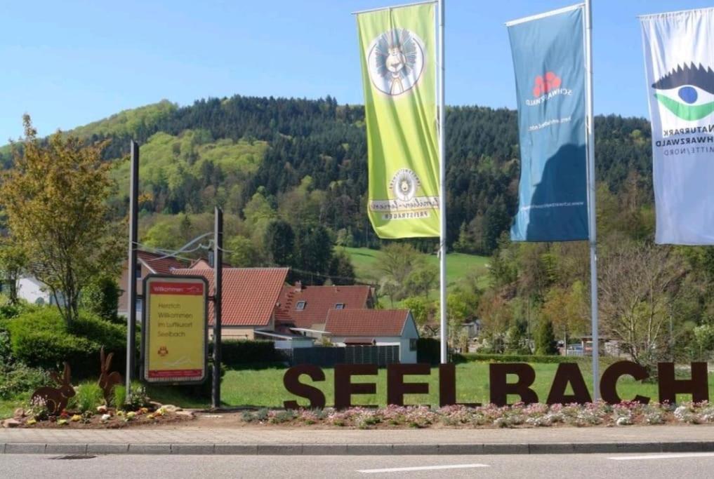 Ferienwohnung Talblick Im Schwarzwald ซีลบาค ภายนอก รูปภาพ