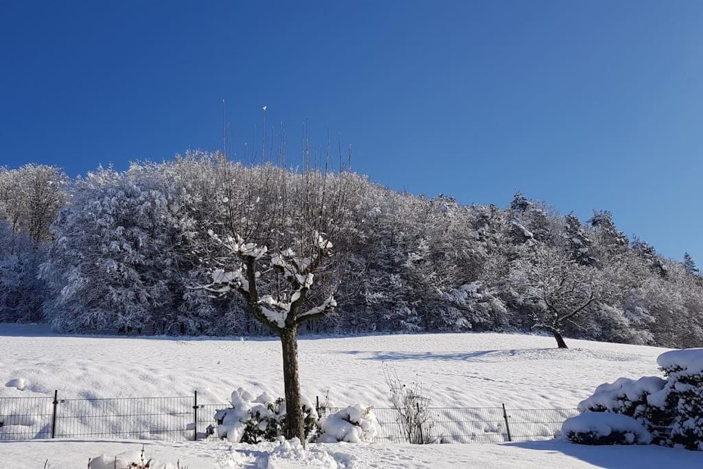 Ferienwohnung Talblick Im Schwarzwald ซีลบาค ภายนอก รูปภาพ