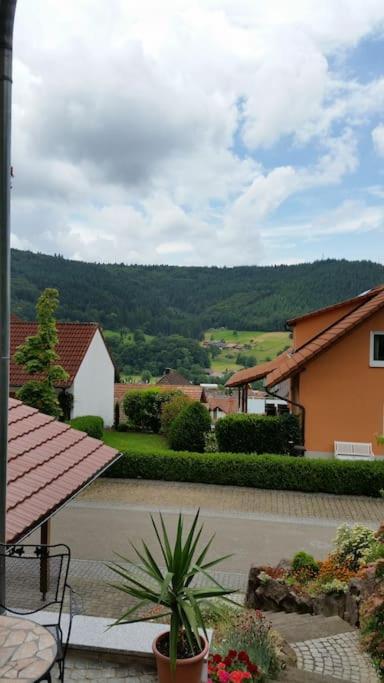 Ferienwohnung Talblick Im Schwarzwald ซีลบาค ภายนอก รูปภาพ