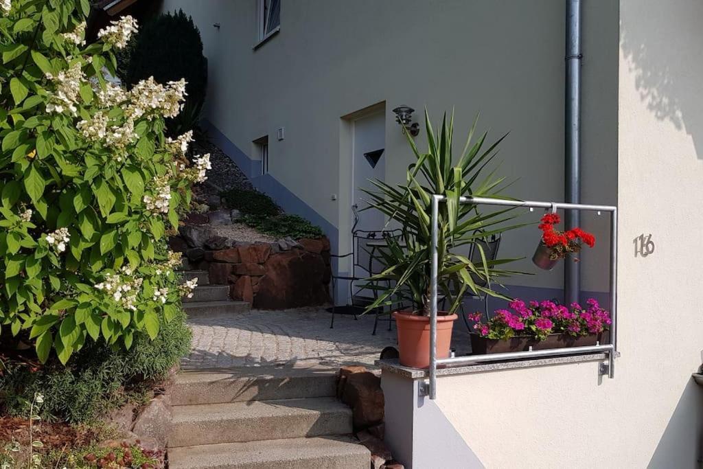 Ferienwohnung Talblick Im Schwarzwald ซีลบาค ภายนอก รูปภาพ
